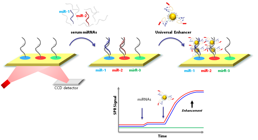 Spri Surface Plasmon Resonance Imaging Labionlabion 0490